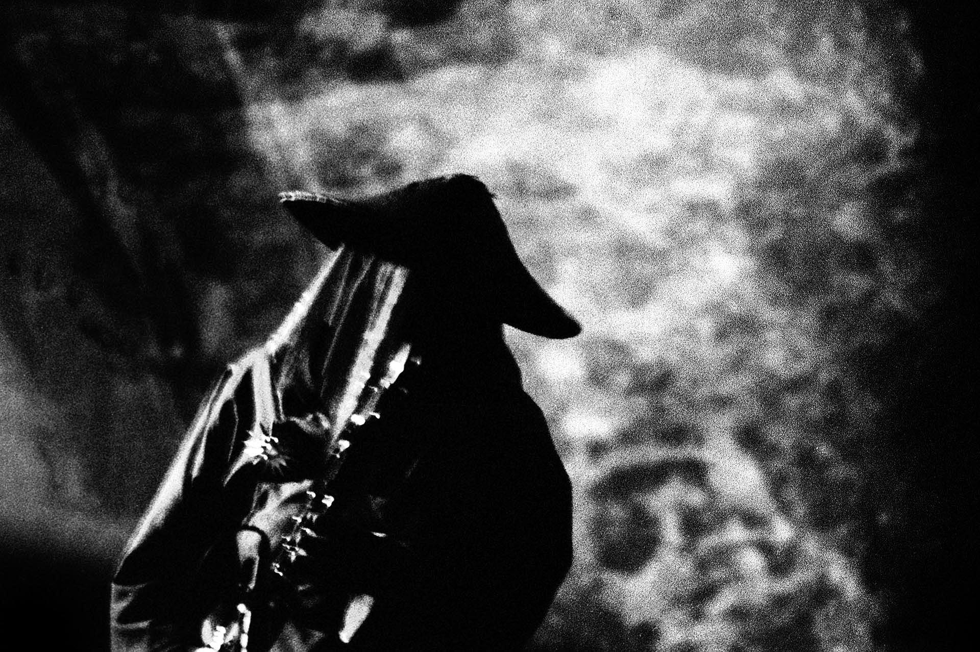 Startled Insects Inge Bekkers